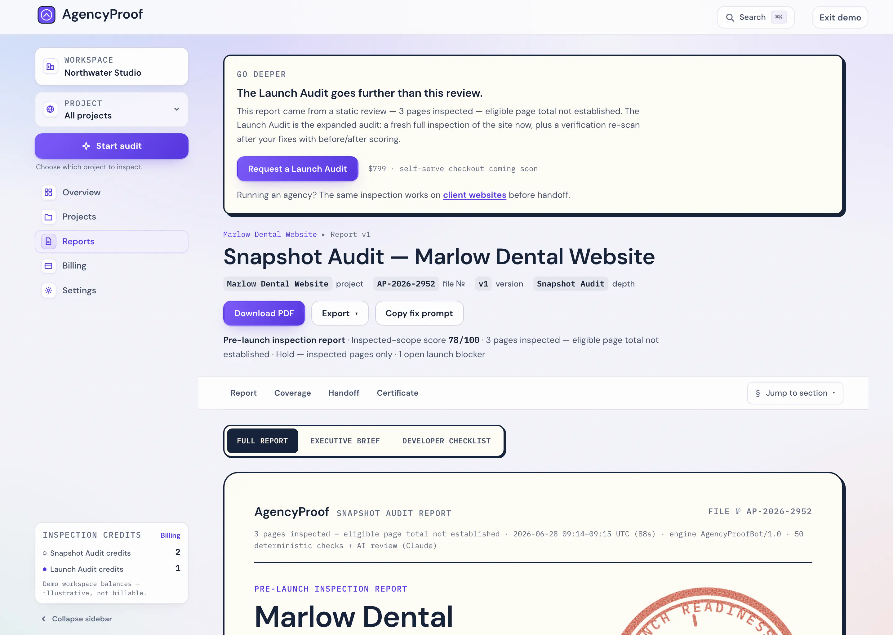 The report workspace of the demo report: executive summary at the top, with the pre-purchase unlock state visible below.